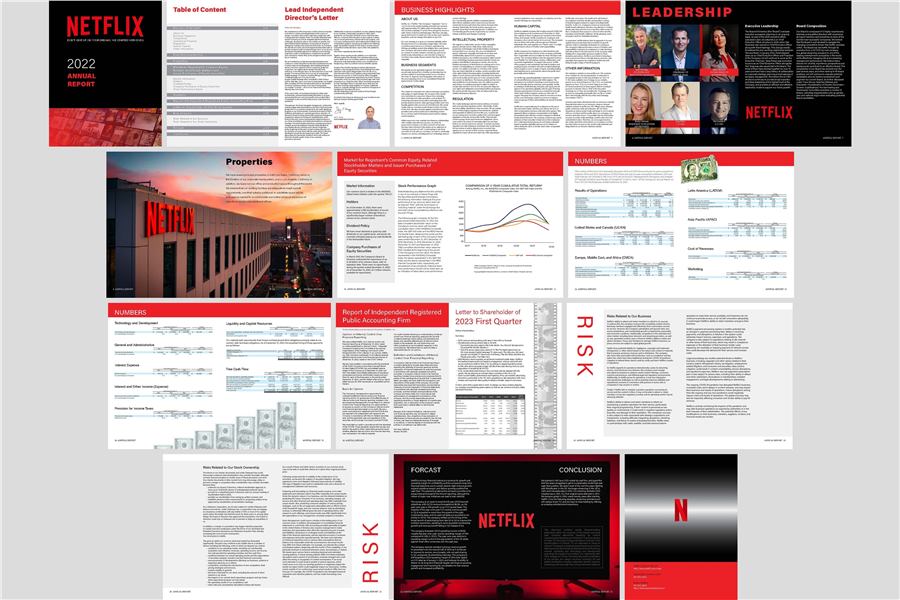 Netflix annual report